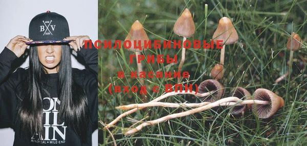 бошки Абинск