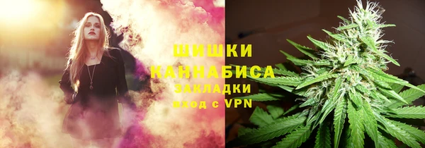 винт Абаза