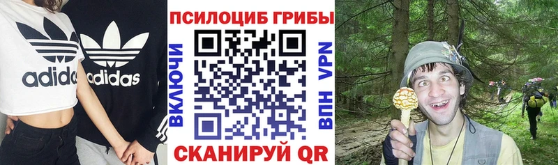 купить закладку  Чкаловск  Галлюциногенные грибы прущие грибы 